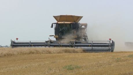 Inconsistent weather, tariffs loom over Manitoba’s harvest