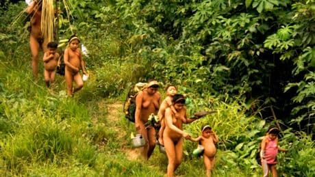 Unkontaktierte Völker: Das Wort Gottes tief im Wald