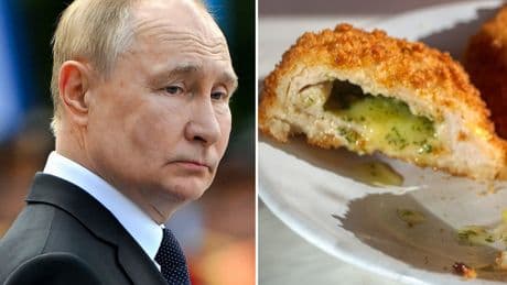 Putin team trolls its way to Ukraine summit with Trump as it serves ‘Chicken Kyiv’ for in-flight meal