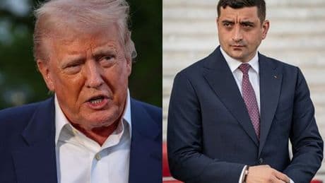 Donald Trump ally who's banned from Ukraine wins EU election