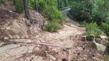 Sanremo, piste forestali e tagliafuoco impraticabili
