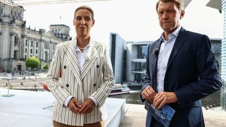 Sommerinterview: AfD-Politiker fordert Wiederholung des Weidel-Interviews