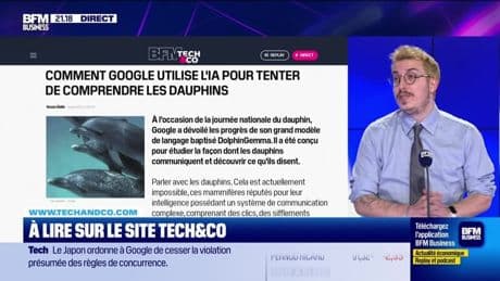 À lire sur le site Tech&Co : Comment Google utilise l'IA pour tenter de comprendre les dauphins, par Sylvain Trinel - 15/04