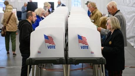 Voting By Mail: The Polls