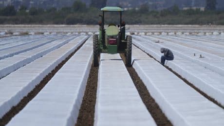 La baisse historique de l’immigration bouleverse le marché du travail américain