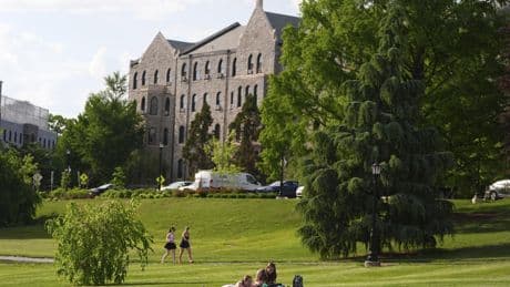 Divine intervention? College basketball bets pour in for Villanova, new pope's alma mater