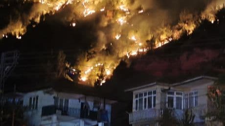 Orman yangınlarında son durum!