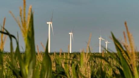 Uruguay: Gemeinsam kann die Energiewende gelingen – Alles Gute vom SPIEGEL