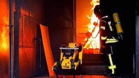 Roboter «Byte» lernt Umgang mit Waldbränden