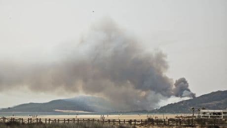 Incendio en Tarifa: se registra un fuego junto a la playa de Valdevaqueros y desalojan un camping