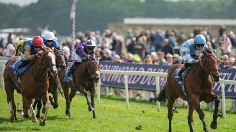 Pride Of Arras slashed into 4-1 for the Derby after impressive York win as The Lion In Winter flops