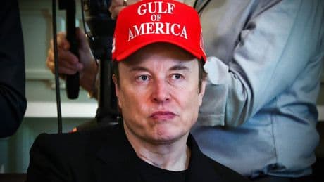 Elon Musk and Tesla chair deny board is looking for new CEO despite profits plunge