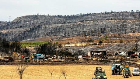 « Les cultures d’hier ne fonctionnent plus sur ce territoire » : lettre à Agnès Pannier-Runacher