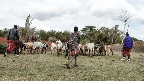 Can UNESCO Accommodate Both Preservation and Human Rights?