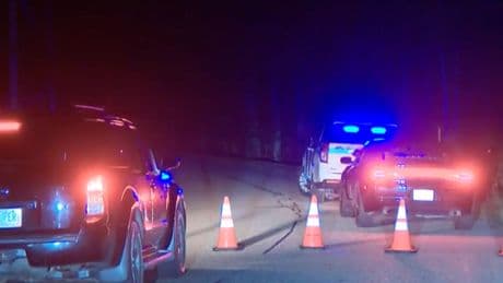 Two adults and two children found dead in New Hampshire murder suicide – but toddler left unharmed: police