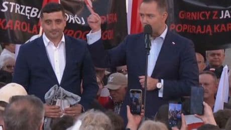 Wahlen in Polen und Rumänien: Allianz der europäischen Donald-Trump-Fans