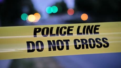 Four dogs die in Las Vegas heat after ‘plastered’ owner fell asleep and forgot to let them out of car: cops