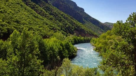 Munzur Vadisi’nde araç ve insan baskısı yaban hayatını tehdit ediyor