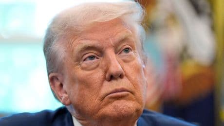 Trump has privately pondered if Epstein accusers are just ‘Democrats’ trying to make him look bad, report claims