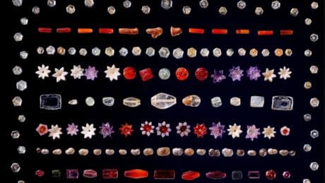 L’Inde tente d’interdire la vente aux enchères de joyaux sacrés liés à Bouddha