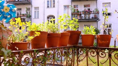 Rechtskolumne: Eigentümerversammlung: Darf man spontan Beschlüsse fassen?