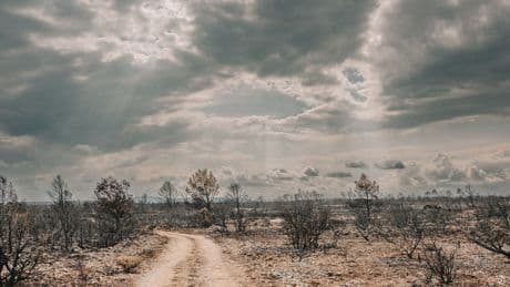 Climat : l’été 2025 est le troisième plus chaud jamais mesuré