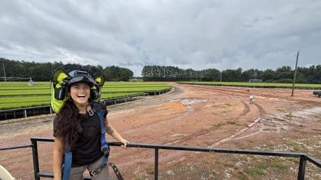 Netflix’s New Carbon Credits Boost Biodiversity Beautifully