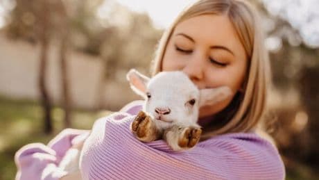 Vegetarians are not kinder than meat-eaters, according to research