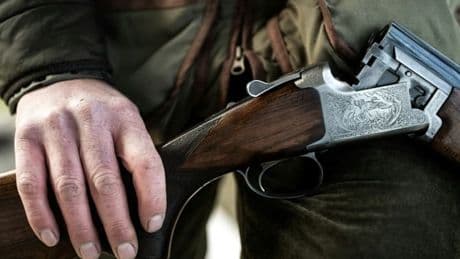 Ariège: 16 chasseurs jugés pour avoir tué l'ourse Caramelles lors d'une battue illégale