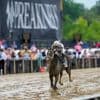 Favorite Margie's Intention handles the slop at Pimlico, wins the Black-Eyed Susan
