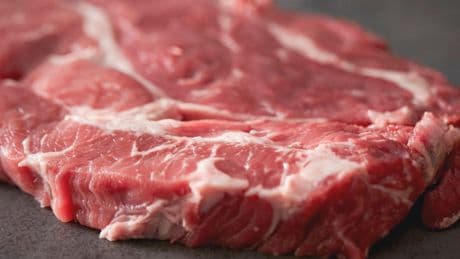 Bactérie E. coli : « Il peut arriver qu’on ne trouve pas l’origine d’une contamination »