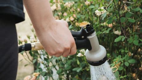 Are You Under A Hosepipe Ban? Here's Where's Been Hit, Who's Exempt, And When Rules Begin