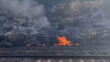 Scots trains chaos after fire 'damages signalling cables' on Lanarkshire line