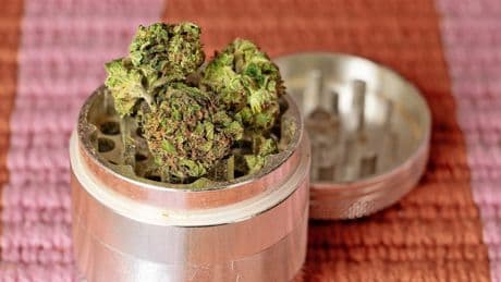 Cannabis: Gekifft wird auf Rezept