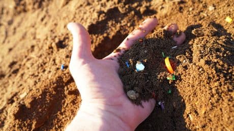 «Un danger pour la santé des animaux et des plantes» : les sols agricoles contaminés par les microplastiques