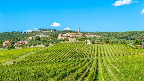 «À défaut de soutenir nos vignerons, l’UE préfère subventionner leurs concurrents»