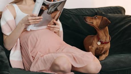 El paseo con tu perro durante el embarazo: más que ejercicio, un acto de conexión