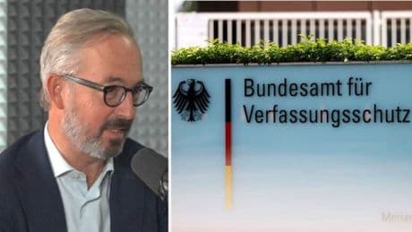 AfD-Gutachten geleakt: Verfassungsschutz hat Rechtsbrecher in eigenen Reihen