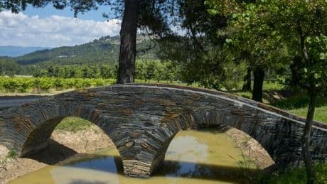 In Frankreich wird das Weingut zum Publikumsmagnet