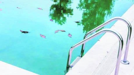Un altro bimbo annegato in piscina: aveva due anni