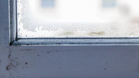 Selbst gemachtes Hausmittel: Warum wir Fensterrahmen ab jetzt mit Teebaumöl putzen