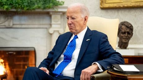 'Massive conspiracy': Ex-DNC insider says party went to great lengths to hide Biden's mental decline
