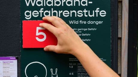 Anhaltende Trockenheit: Waldbrandgefahr im Land steigt