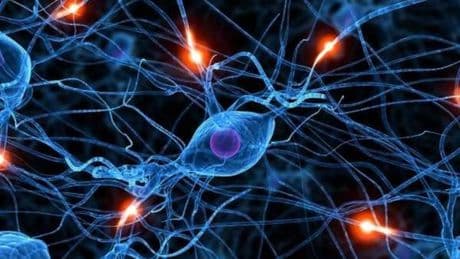 Investigadores españoles crean el primer atlas cerebral que identifica los patrones comunes de los trastornos mentales