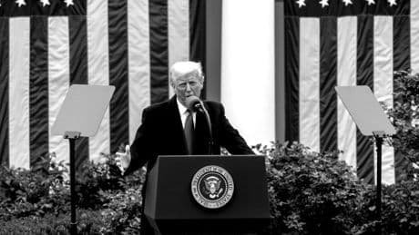 ¿Quién ganó dinero en la bolsa con Trump?