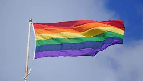 Do not let LGBT veterans scheme to ‘become damaged’, 45 MPs urge Healey
