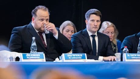 AfD-Verband versinkt nach Spitzel-Vorwürfen im Streit und setzt Sprecher vor die Tür