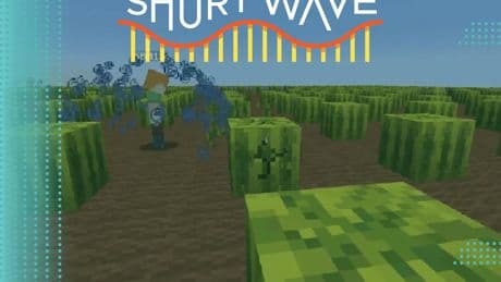 What playing Minecraft tells researchers about social learning