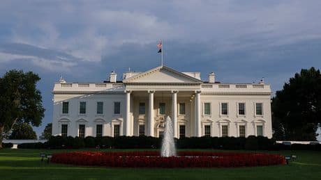 The White House Will Celebrate America’s 250th Birthday With a UFC Cage Fight