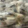 Duitse douane vindt 1.500 tarantula’s verstopt in dozen met chocoladegebakjes